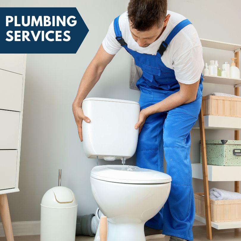 Plumbing Company in Rock, MI